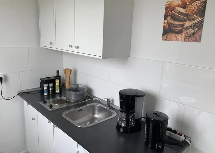 1 Zi-whg, Netflix, Wifi, Kueche, 15min Zum Zentrum