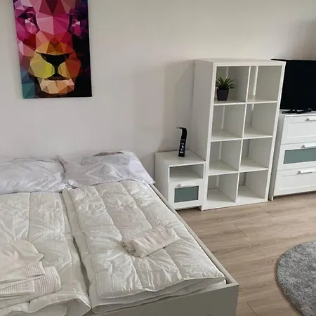 1 Zi-whg, Netflix, Wifi, Kueche, 15min Zum Zentrum شقة *